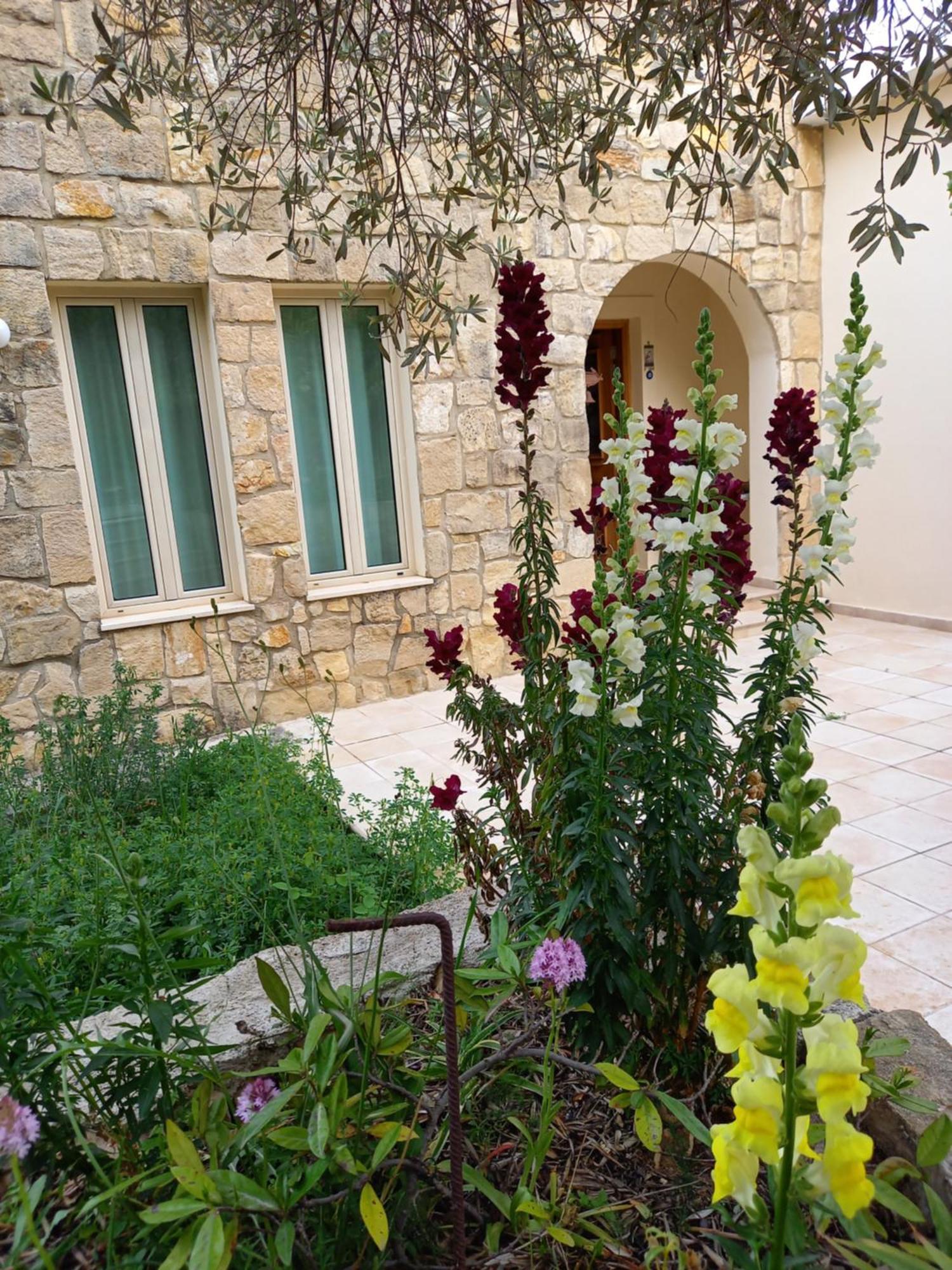 Villa Koumneni Pano Akourdalia Exterior foto