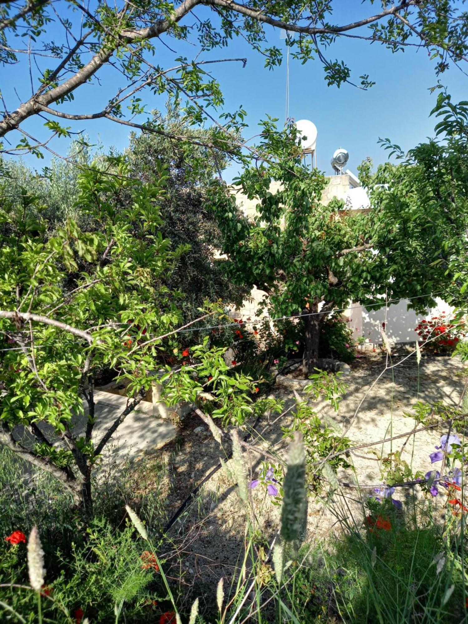 Villa Koumneni Pano Akourdalia Exterior foto