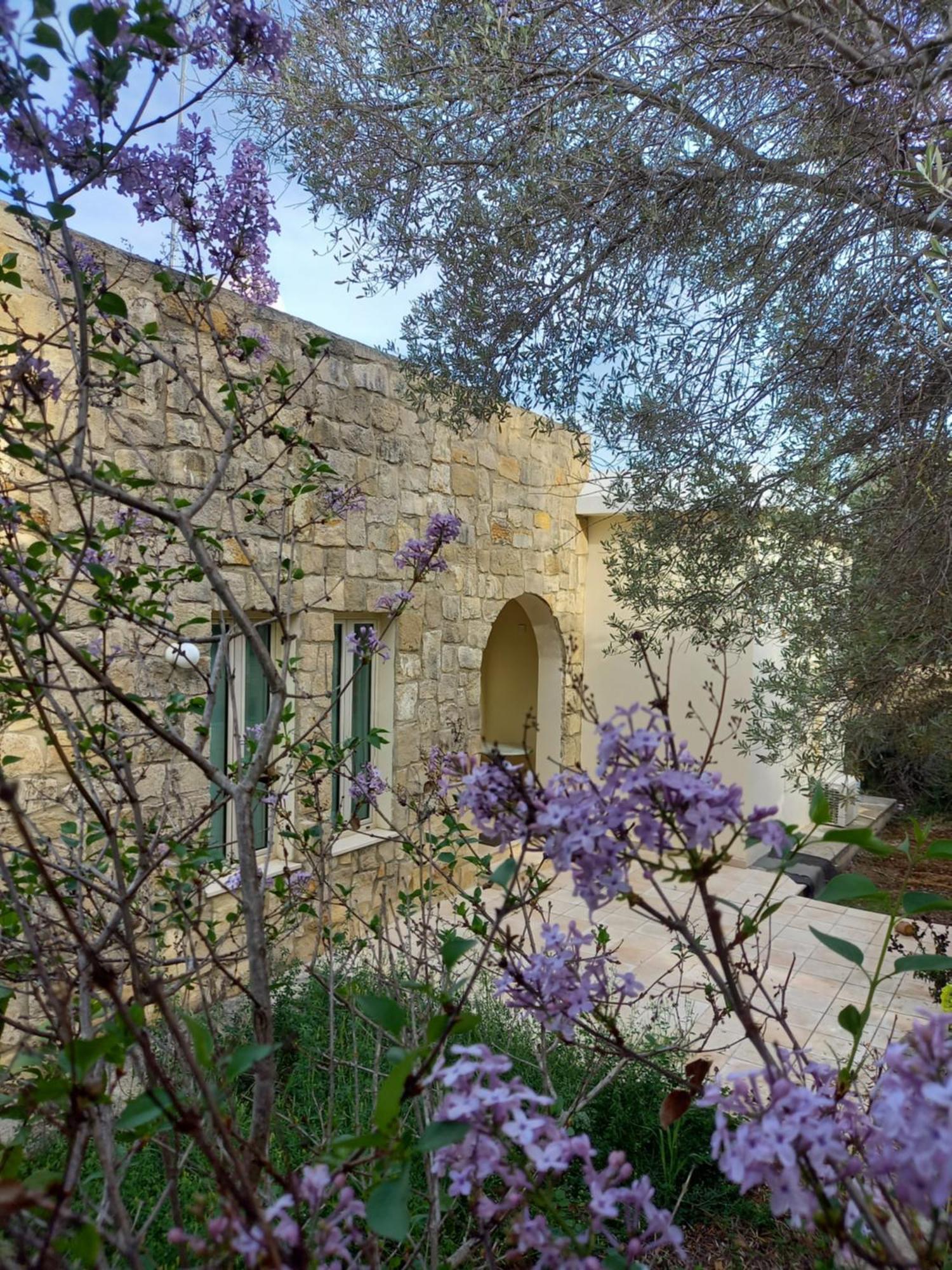 Villa Koumneni Pano Akourdalia Exterior foto
